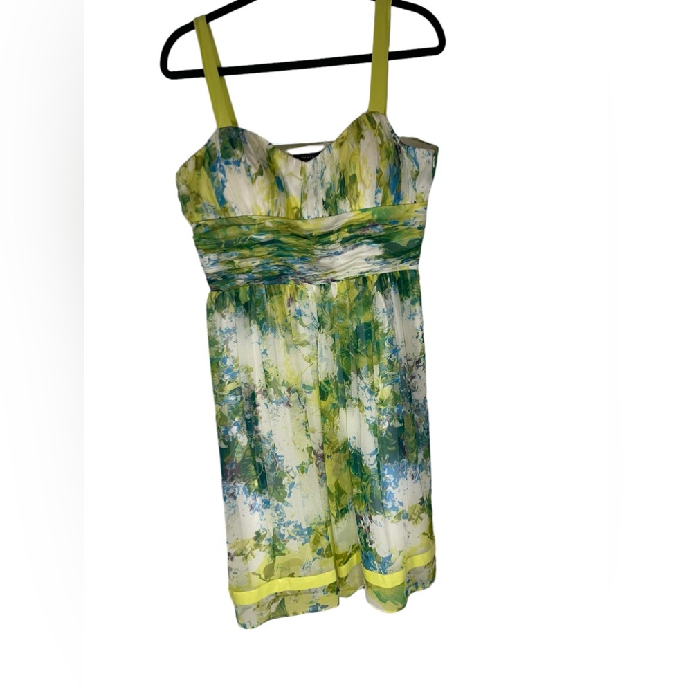 Arthur‎ Levine/Tahari watercolor dress. BoxO
